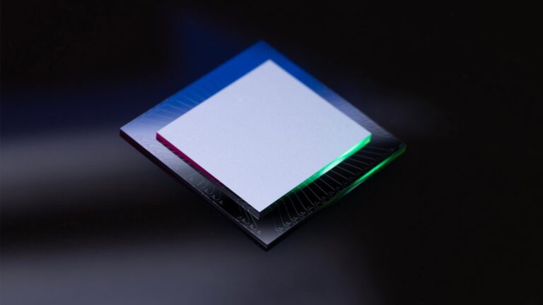 Ocelot Chip Bildquelle AWS 1920