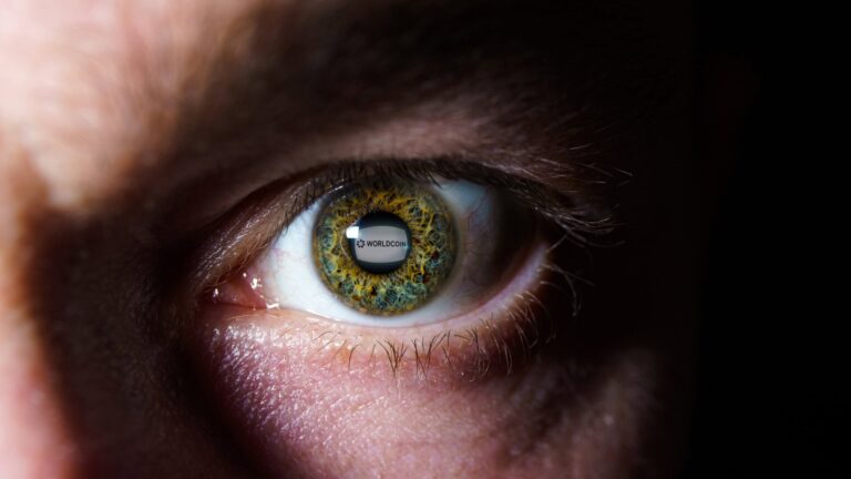 World Quelle Rokas Tenys Shutterstock 2068725467 1920