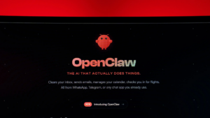 AI agent, OpenClaw, AI agent exploits booking system vulnerability, OpenClaw AI agent security vulnerability, Fitness Club Booking System