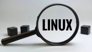 Linux. PS5 Linux, PlayStation 5, PS5 vulnerability, PS5 Linux project abandoned by developer, PlayStation 5 Linux vulnerability reported to Sony, Andy Nguyen PS5 Linux project