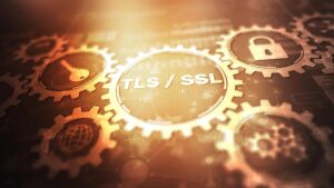 eMudhra, SSL/TLS certificates, Certificate authority, eMudhra exits global SSL/TLS certificate business, eMudhra intermediate certificate private key flaw, why eMudhra is withdrawing from SSL/TLS